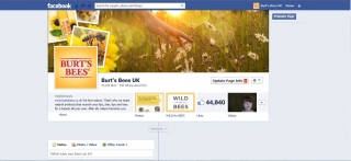 burts-bees-fb-1